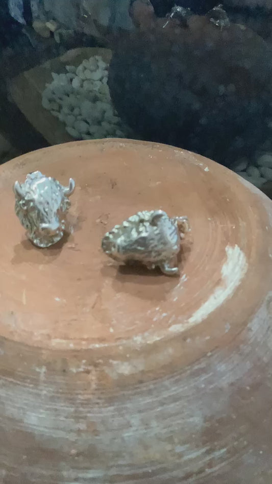 Sterling Silver Stud Earrings